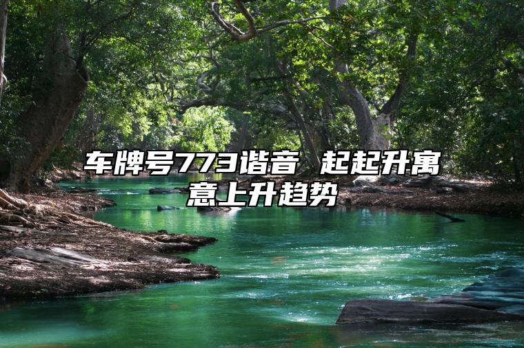 车牌号773谐音 起起升寓意上升趋势 顺子号适合做手机号码吗