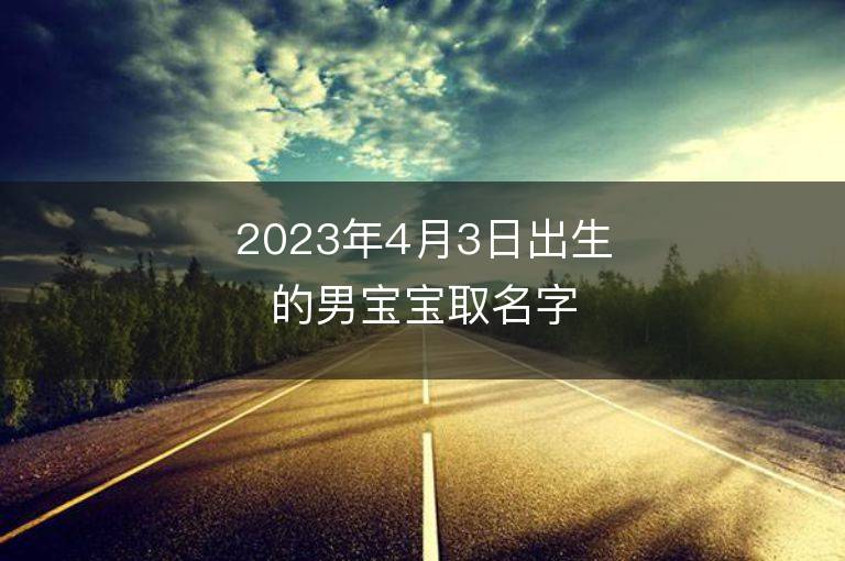 2023年4月3日出生的男宝宝取名字大全