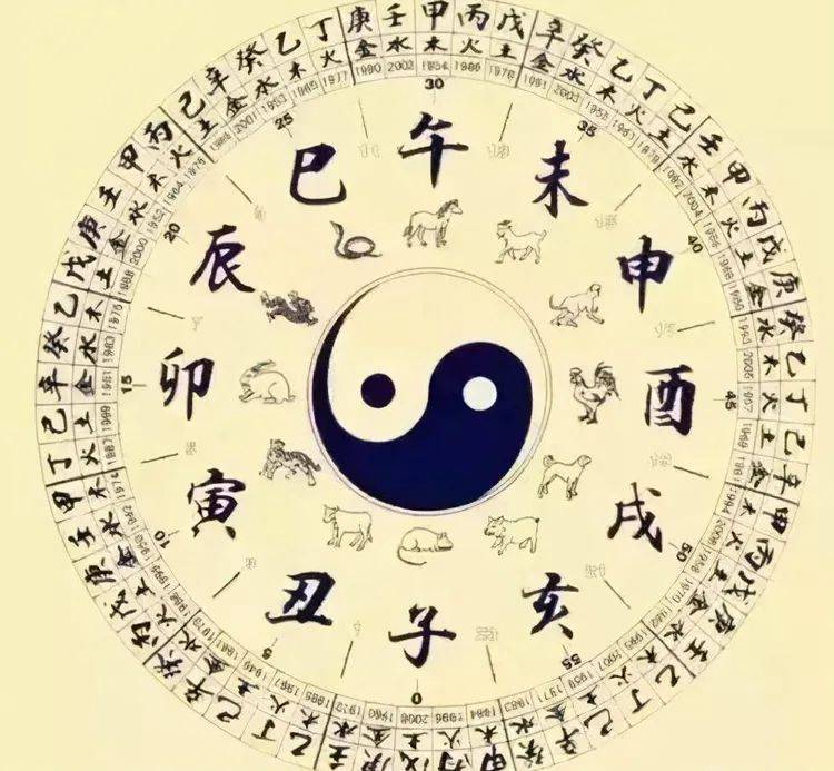 天干地支表