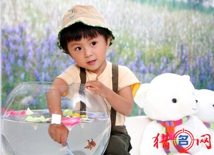 杨姓男宝宝起名最新羊年名字
