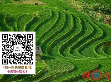 好听的农业公司名称大全