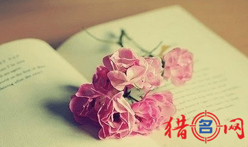 qq分组大全2018最新版
