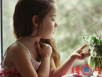陆姓女孩起名大全淑女气质