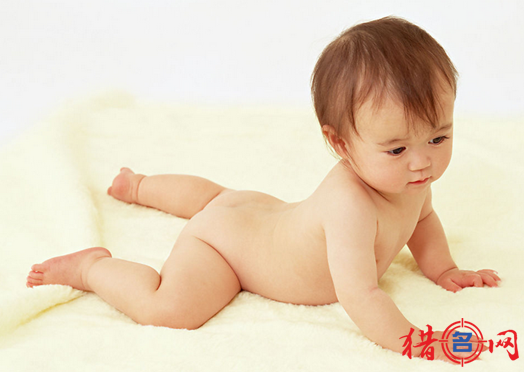 猎名网宝宝名字