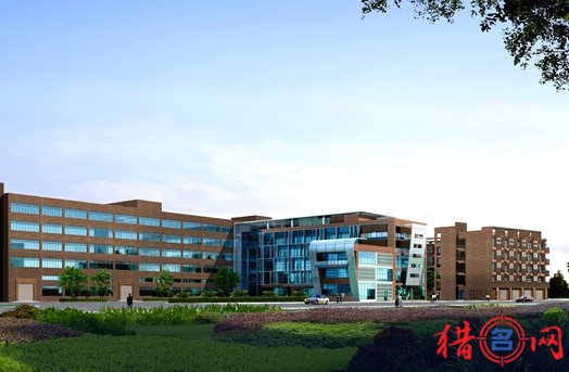 猎名网公司名字