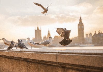 从古诗词中取意境网名