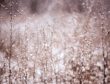 从古诗词中取意境网名