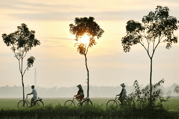 奶凶奶凶可爱网名