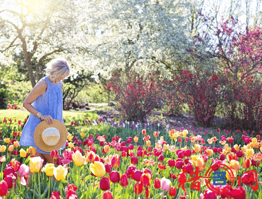 独特的花店名字