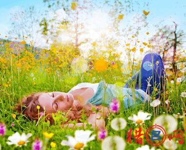 独特的花店名字