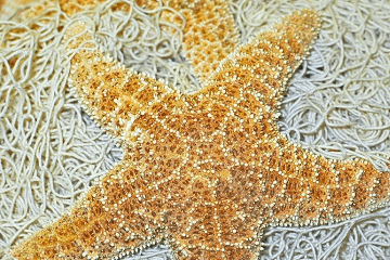 人生必看十大治愈电影 电影名字推荐