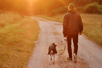 人生必看十大治愈电影 电影名字推荐
