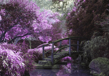 低调奢华的帮会名字