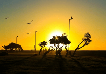 家族统一名字马甲两个字